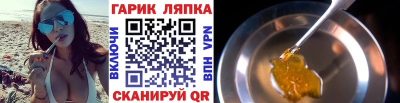 цены   Сосновый Бор  ГАШ Изолятор 