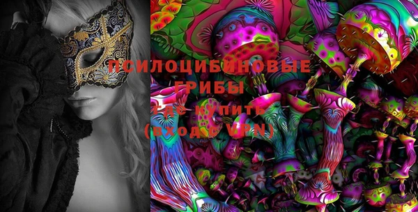 СК Аркадак